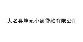 大名县坤元小额贷款有限公司